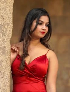 call girl service in Palwancha